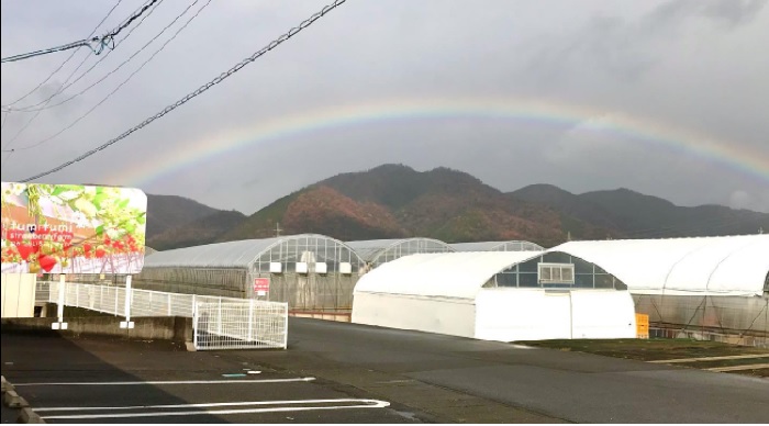 株式会社つみつみいちごファーム やっとるよ岐阜